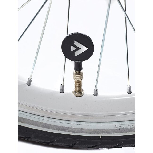 Alpina Kinderfietsen Ocean 22 inch Dusk Blue Matt Meisjesfiets