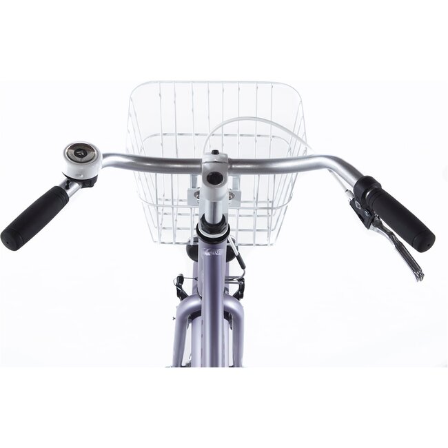 Alpina Kinderfietsen Ocean Hazy Lavender Matt 22inch Meisjesfiets