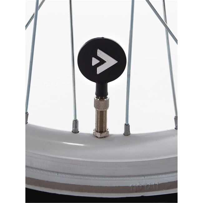 Alpina Kinderfietsen Ocean Hazy Lavender Matt 22inch Meisjesfiets