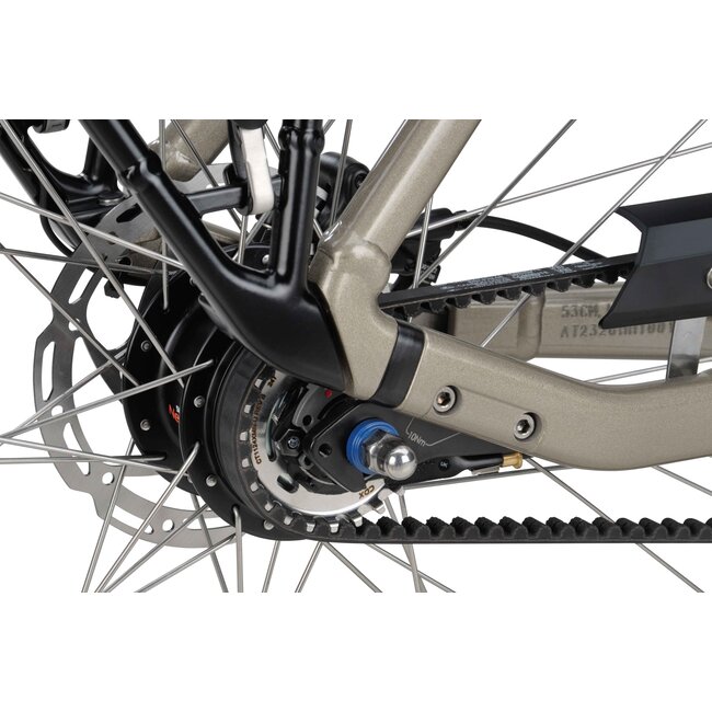 Batavus  Finez E-go Power Exclusive Bosch Smart Elektrische Damesfiets Champagne