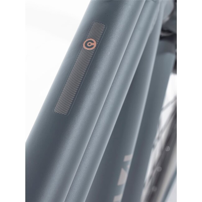 Cortina  U4 Mouse Grey Matt ND7 Heren Transportfiets