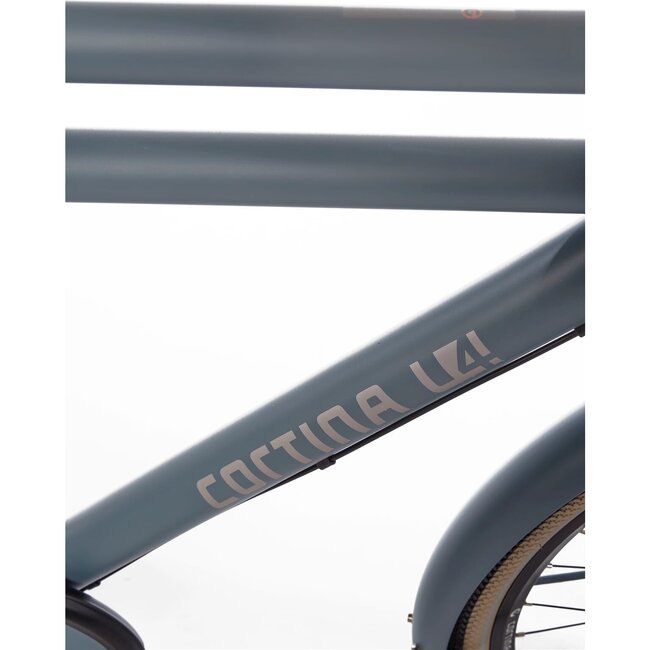 Cortina  U4 Heren Transportfiets Mouse Grey Matt 3Versnellingen