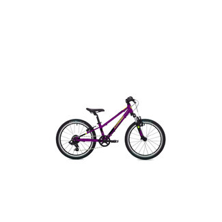 Conway MS 200 Suspension 20 inch Mountainbike