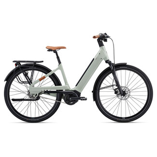 Liv Allure E+ 2 Elektrische Fiets Desert Sage