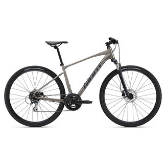 Giant Roam Disc 3 Herenfiets Metal