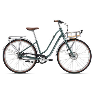 Liv Flourish Disc 0 Transport Fiets Zilver Pine