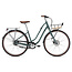 Liv Flourish Disc 0 Stadsfiets Damesfiets Zilver Pine