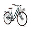 Liv Flourish Disc 0 Stadsfiets Damesfiets Zilver Pine