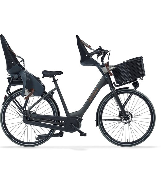 Cortina  E-Common Family Black Gold Matt  AL+ MM Bes2 7V