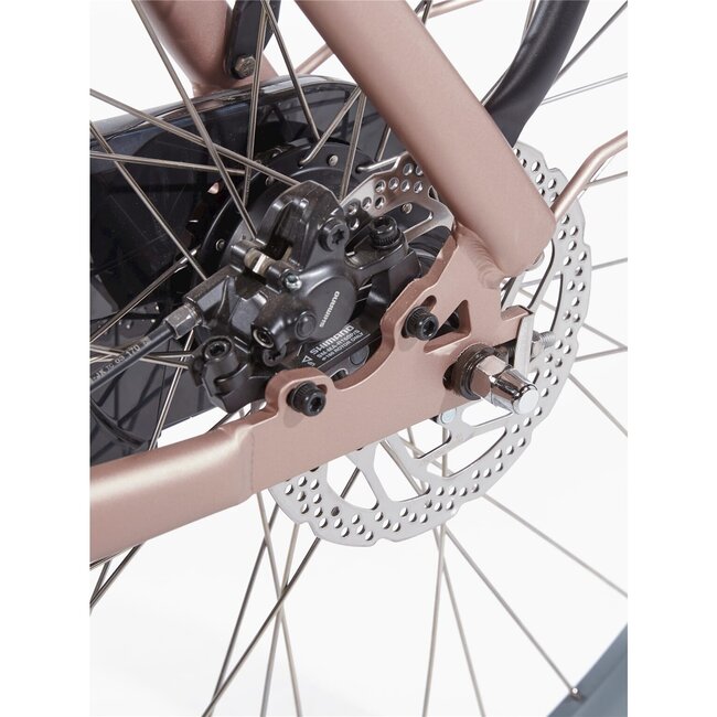 Cortina  E-Nite Elektrische Damesfiets DB7 Pink Champagne Matt 7V