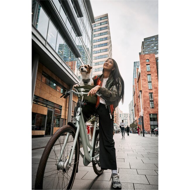 Kvisp hondenfietszitje met harnas M midnight gray