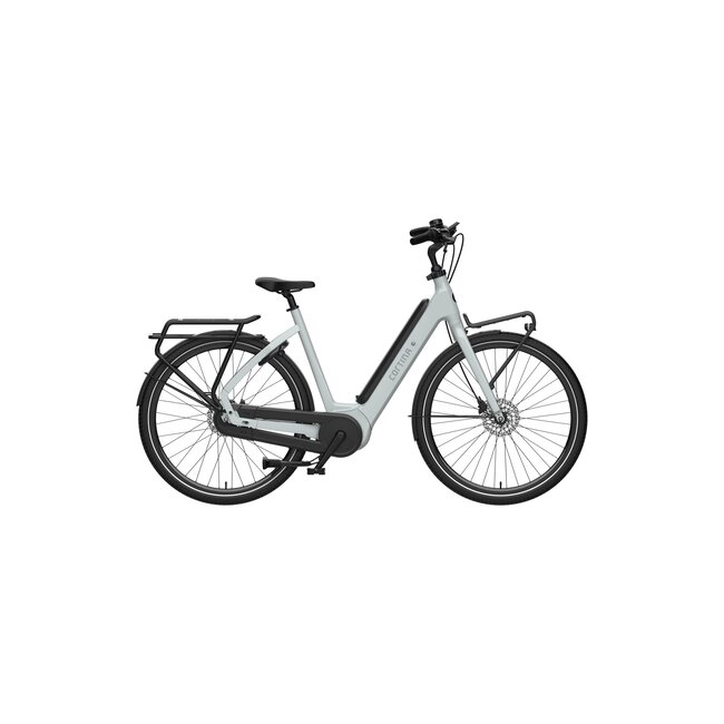 Cortina  E-Common Int Family Sea Grass 7V Bosch Bes3 Elektrische Trasportfiets
