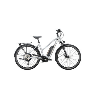 T38e Elektrische Fiets Uni Shiny Silver 8V 500Wh