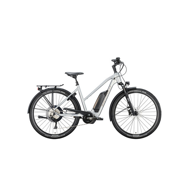 T38e Elektrische Fiets Shiny Silver 8Versnellingen Uni 500Wh