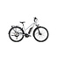 T38e Elektrische Fiets Shiny Silver 8Versnellingen Uni 500Wh