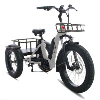 Diablo fatbikes Big Foot Elektrische Driewieler Fatbike Zwart/Grrijs