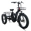 Diablo fatbikes Big Foot Elektrische Driewieler Fatbike Zwart/Grrijs