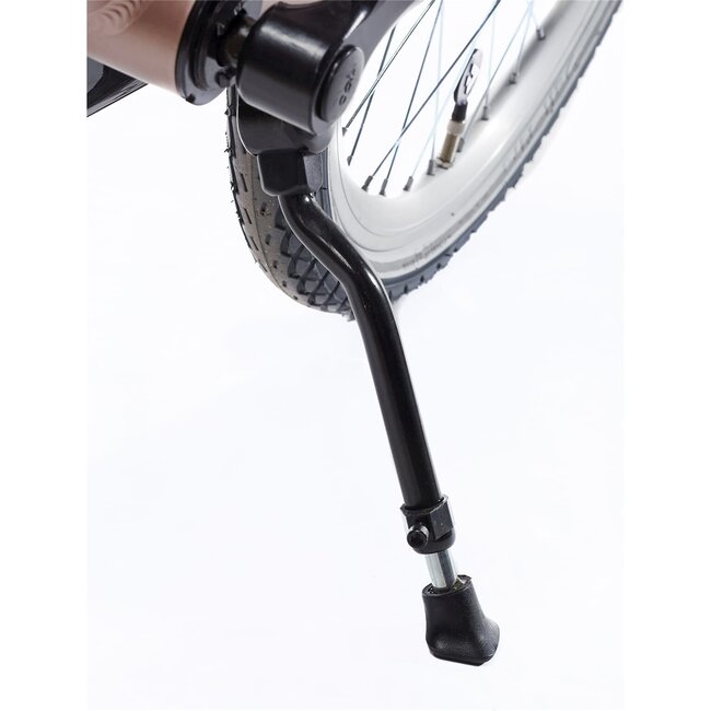 Alpina Kinderfietsen Clubb Rose Gold Matt Meisjesfiets 22 inch