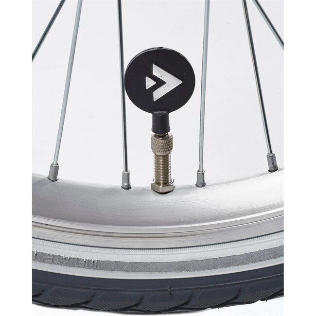 Alpina Kinderfietsen Clubb Rose Gold Matt Meisjesfiets 22 inch