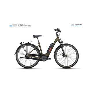 Victoria Cysalo 9 E Bike Uni warm antracite 545 Wh