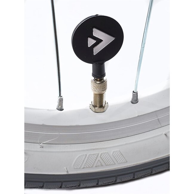 Alpina Kinderfietsen Ocean Misty Pink Matt 16 inch meisjesfiets