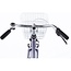 Alpina Kinderfietsen Ocean Hazy Lavender Matt 20 inch meisjesfiets
