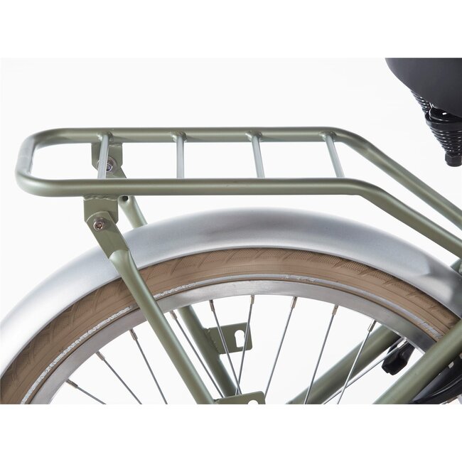 Alpina Kinderfietsen Cargo Velvet Green Matt 22 inch meisjesfiets