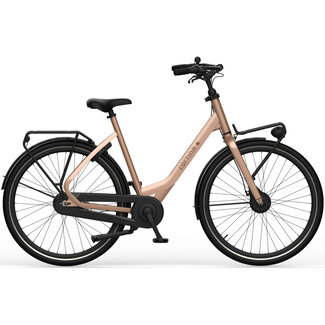 Cortina  Common Transportfiets Uni Pearl Frapp Gloss ND7