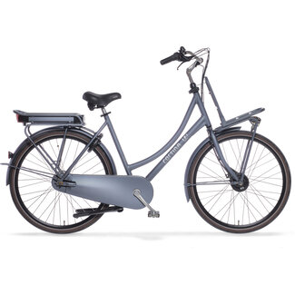 Cortina  E-U4 Transport Elektrische Familyfiets Silver Stahl Matte DB7 SDFM