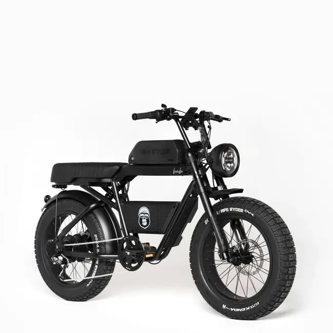 Vogue  AP RYDER E-BIKE, BABOON MATT BLACK HYDRAULIC BRAKE SYSTEM