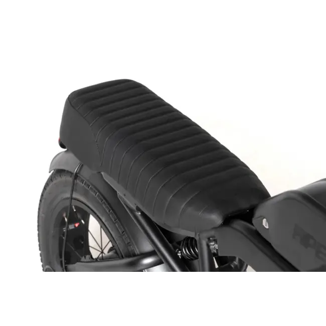 Vogue  Ape Ryder Baboon Elektrische Fatbike