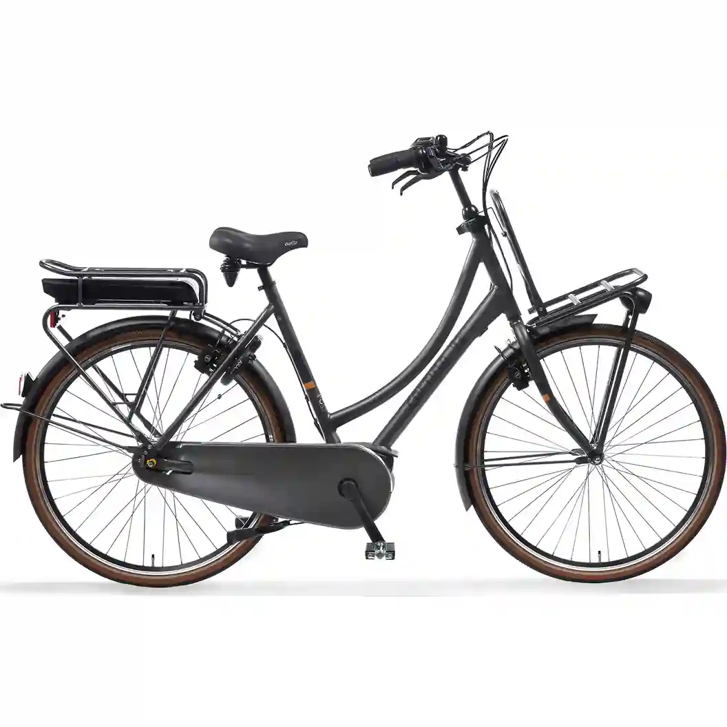 Elektrische transportfiets