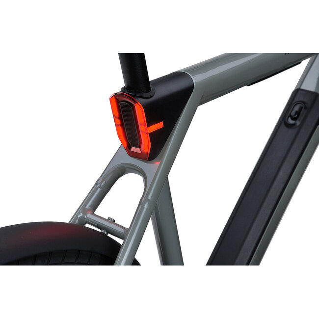 RALEIGH ONE Elektrische fiets BELT