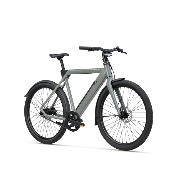RALEIGH ON Elektrische fiets BELT
