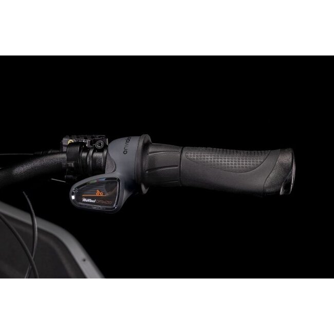 Cube  Cargo Hybrid Bosch Elektrische Bakfiets Flashgrijs