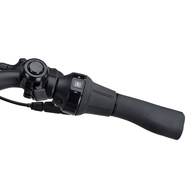 Batavus  Altura PT Pro Elektrische Damesfiets 5V Black Mat