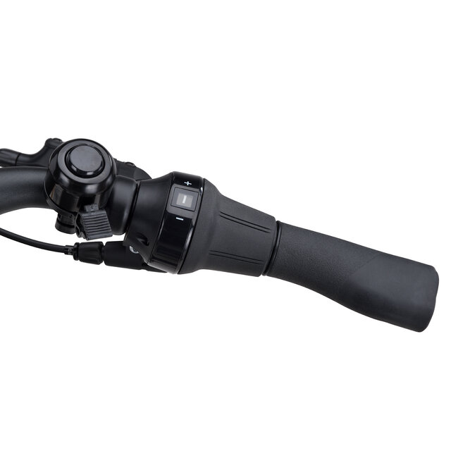 Batavus  Altura PT Pro Incl. 500wh damesfiets 5 Smokingblack matt