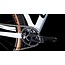 Cube  Reaction C62 SLX MTB 29 inch Wit 12V