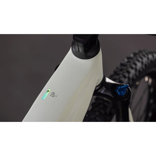 Cube  Reaction Hybrid Pro 800 Desertstone/driedherbs MTB 29 inch Groen 12V