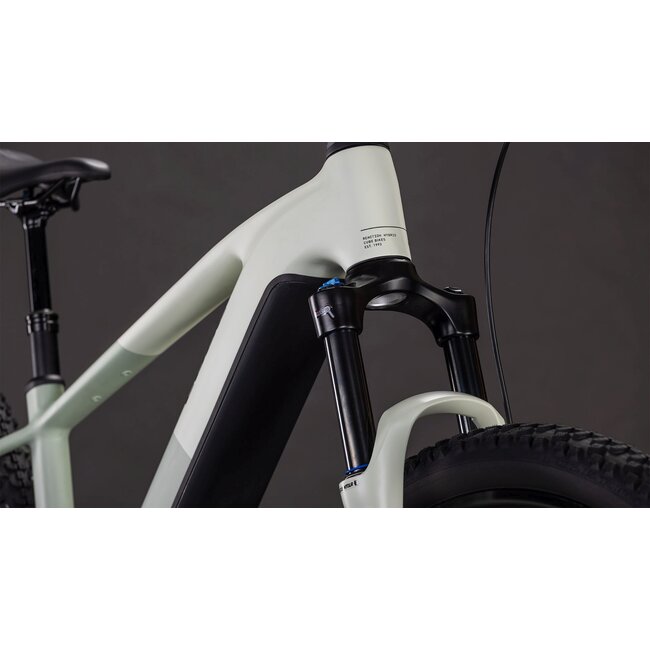 Cube  Reaction Hybrid Pro 800 Desertstone/driedherbs MTB 29 inch Groen 12V