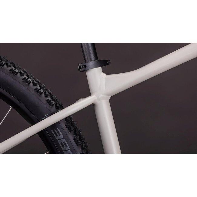 Cube  Aim Pro Greige/titan MTB 29 inch Grijs 11V