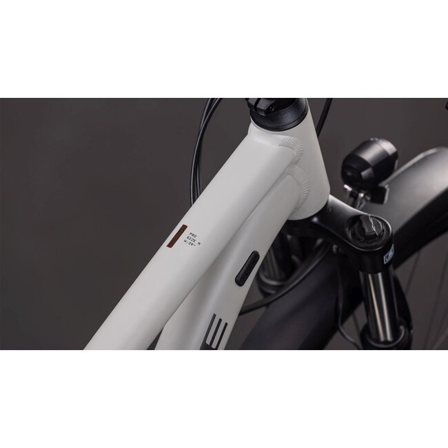 Cube  Aim Pro Fe Greige/titan MTB 29 inch Beige 11V