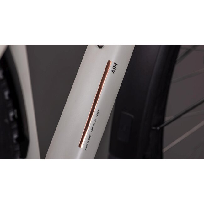 Cube  Aim Pro Fe Greige/titan MTB 29 inch Beige 11V