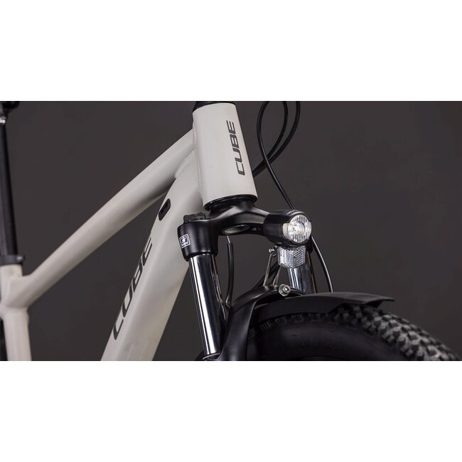 Cube  Aim Pro Fe Greige/titan MTB 29 inch Beige 11V