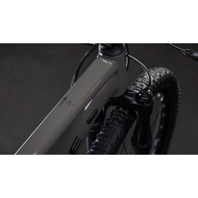 Cube  Reaction Pro Oldgrey/black MTB 29 inch Grijs 12V