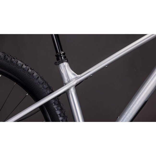 Cube  Reaction Tm One Rawmetal/blue MTB 29 inch Grijs 11V