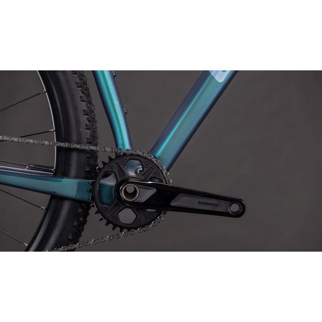 Cube  Reaction C62 Pro Polarlight/black MTB 29 inch Blauw 12V