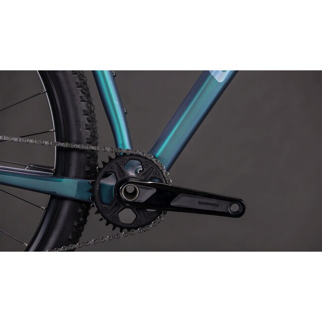 Cube  Reaction C62 Pro Polarlight/black MTB 29 inch Blauw 12V
