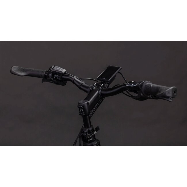 Cube  Longtail Hybrid Comfort Family 800 Haze Riem Enviolo