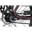Batavus  Finez PT Exclusive Flex accu Elektrische Damesfiets 8 Burgundy Red matt